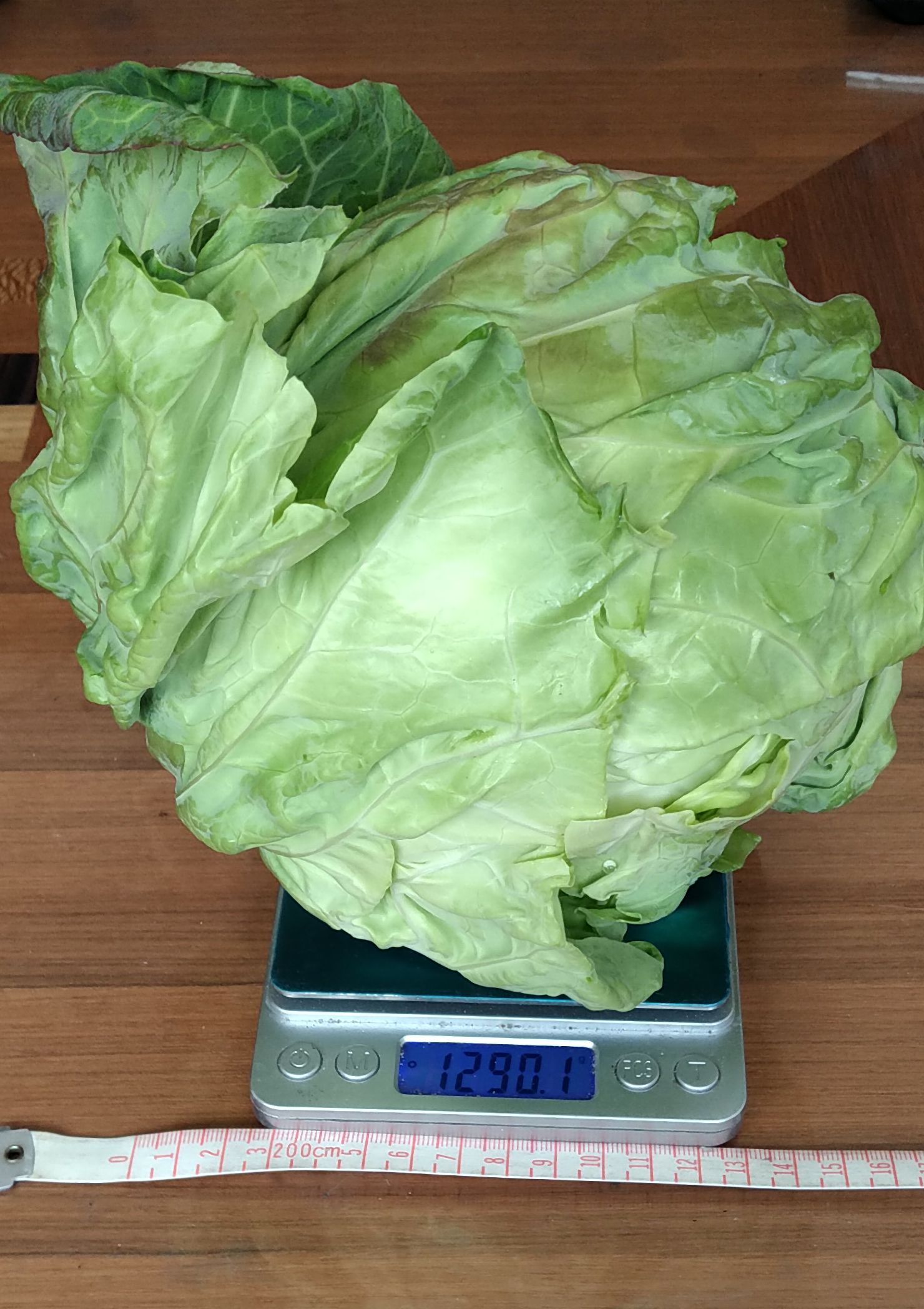 重量1.2kg