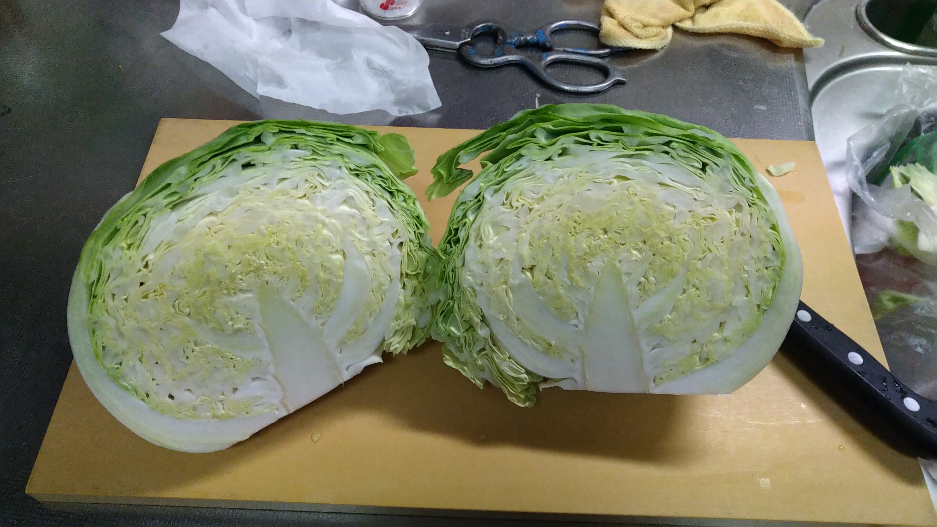 身が詰まったキャベツ